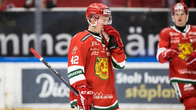 Lista: 10 spelare att hålla ett extra öga på i Hockeyallsvenskan!