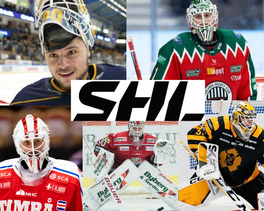 Lista: Vem är SHLs bästa&nbsp;förstemålvakt?
