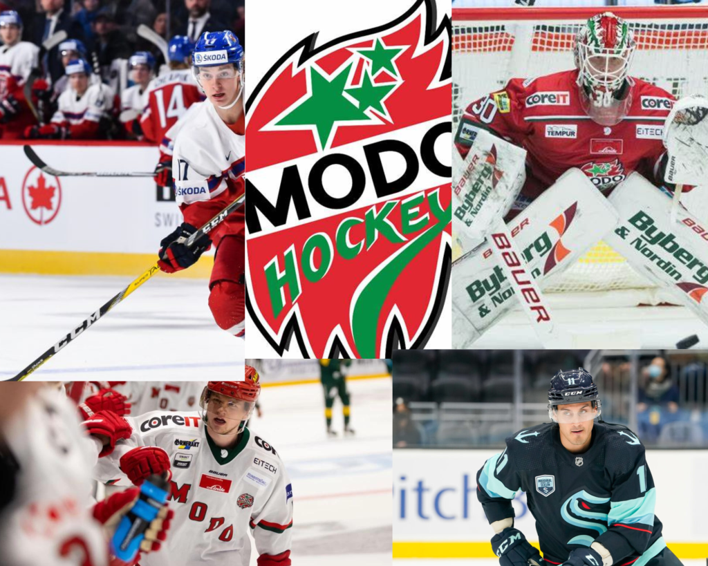 Han kommer att floppa! Genomgång SHL 24/25&nbsp;MODO